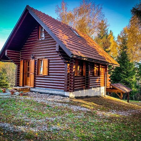 Pine Lodge Hlevci Exterior foto