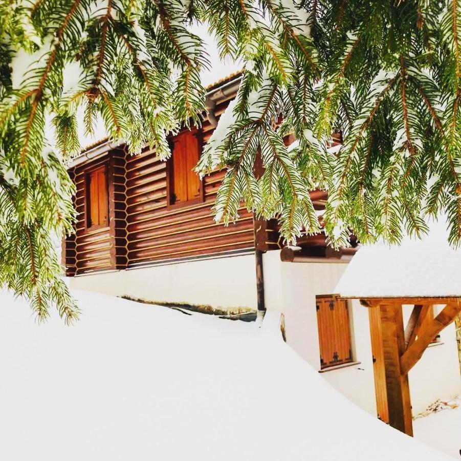 Pine Lodge Hlevci Exterior foto